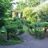 Jak udělat kamenné stopy v zemi to udělat sami